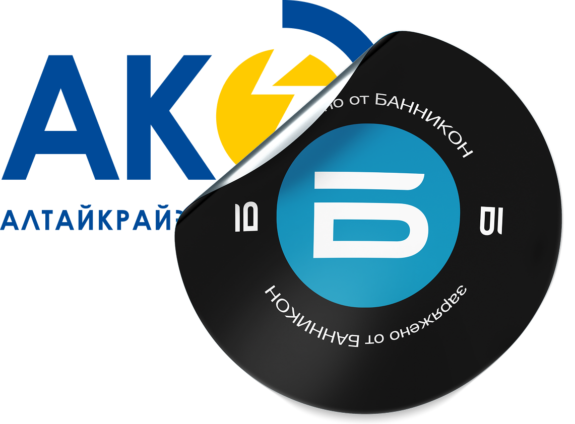 Кейс проекта — АлтайКрайЭнерго - Банникон